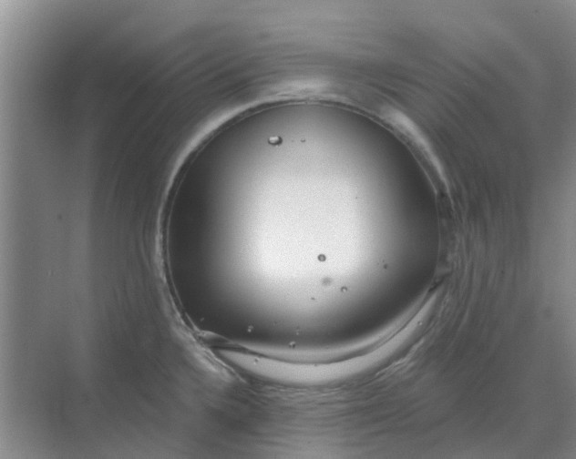 X0000068771336200605121652