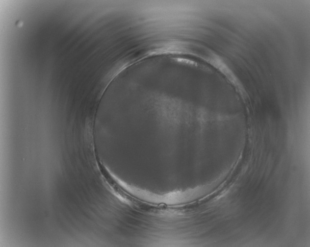 X0000068771337200605121652