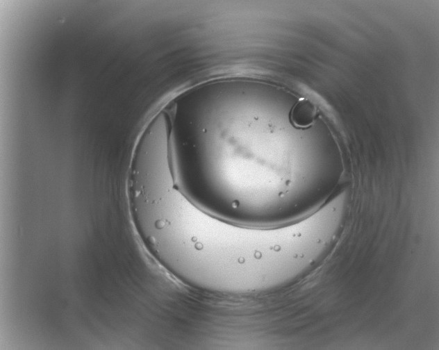 X0000068771338200605121652