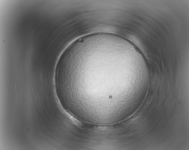 X0000068771339200605121652