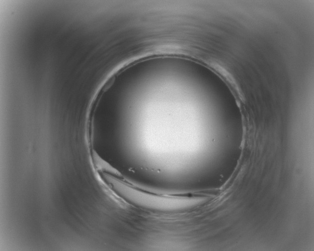 X0000068771342200605121652