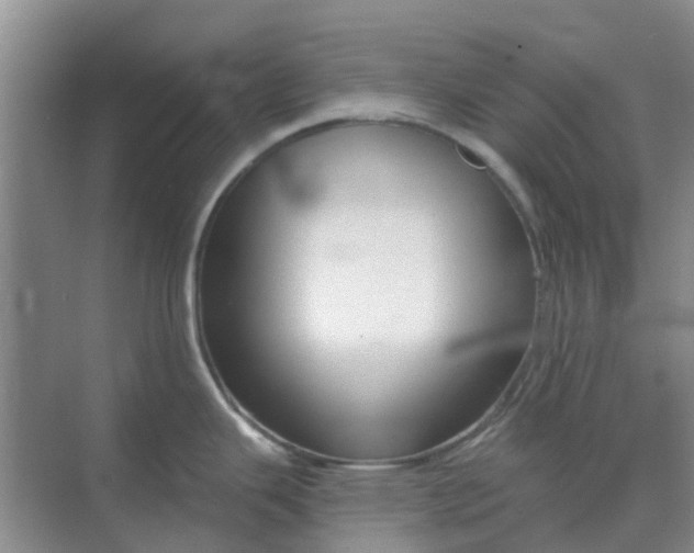 X0000068771343200605121652