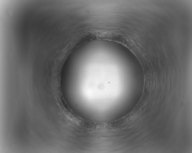 X0000068771345200605121651