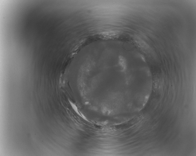 X0000068771346200605121651