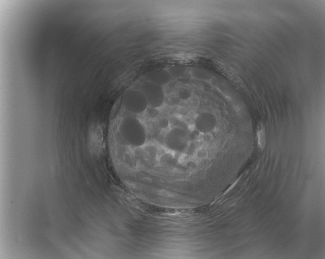 X0000068771347200605121651