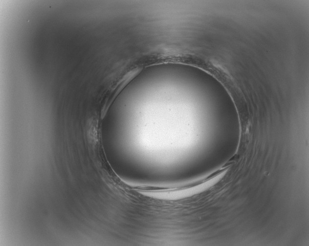 X0000068771348200605121651