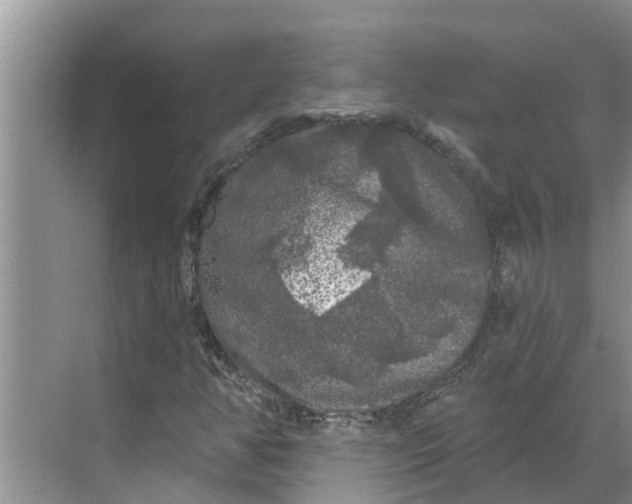 X0000068771350200605121651