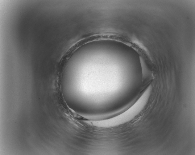 X0000068771352200605121651