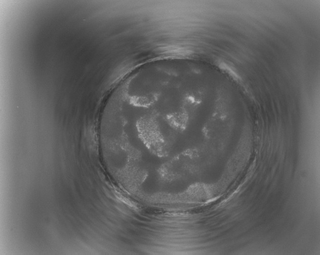 X0000068771354200605121651