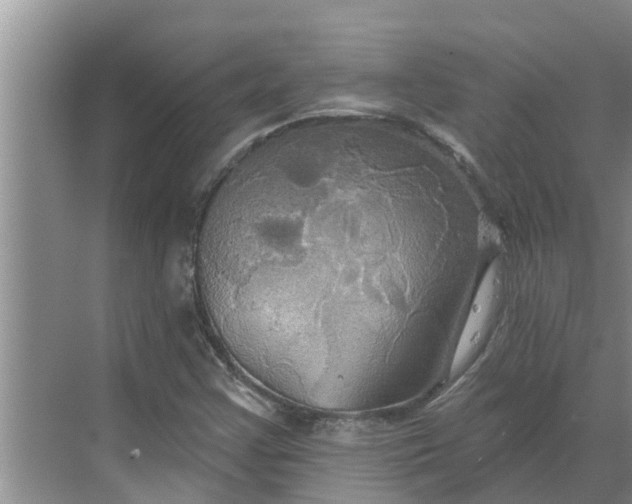 X0000068771355200605121651