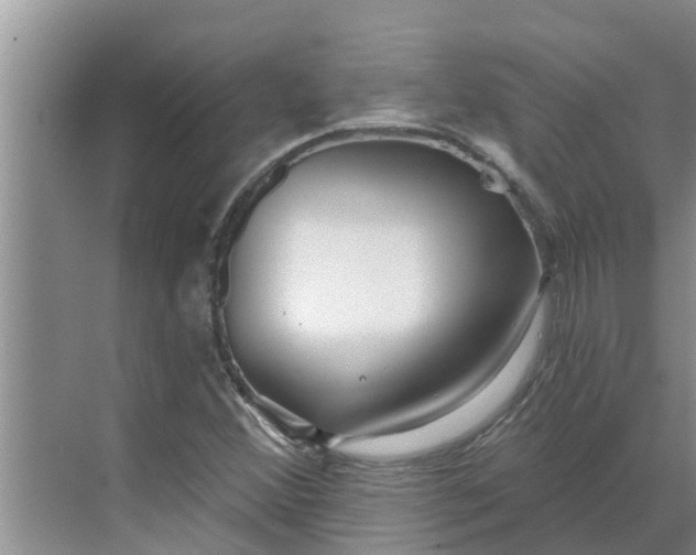 X0000068771356200605121651