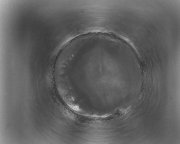 X0000068771359200605121651