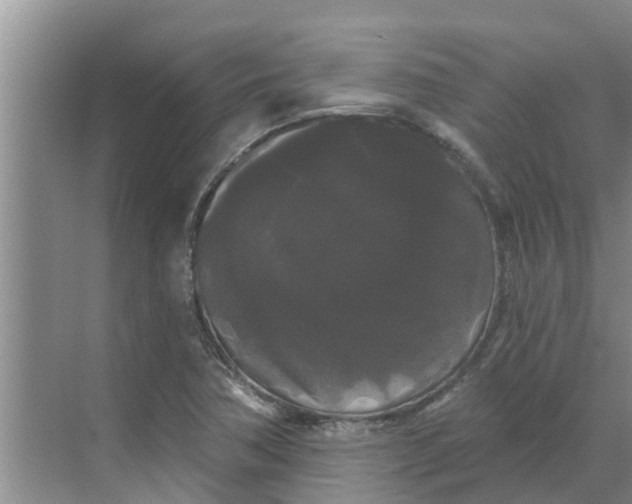 X0000068771362200605121651