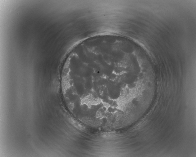 X0000068771363200605121651