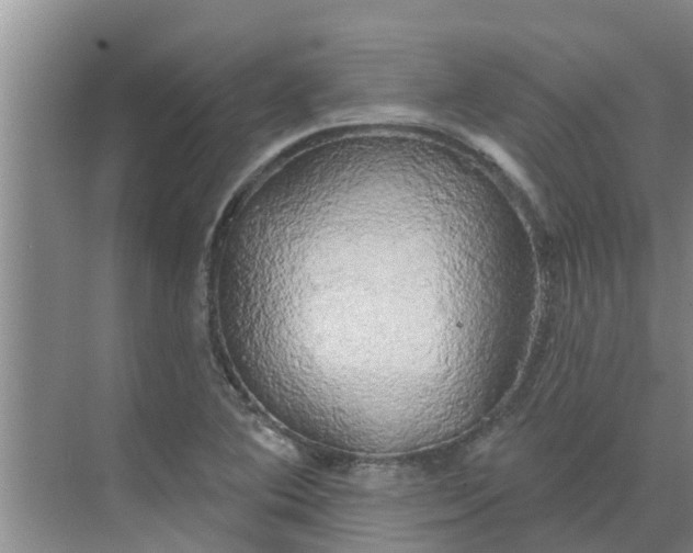 X0000068771364200605121651