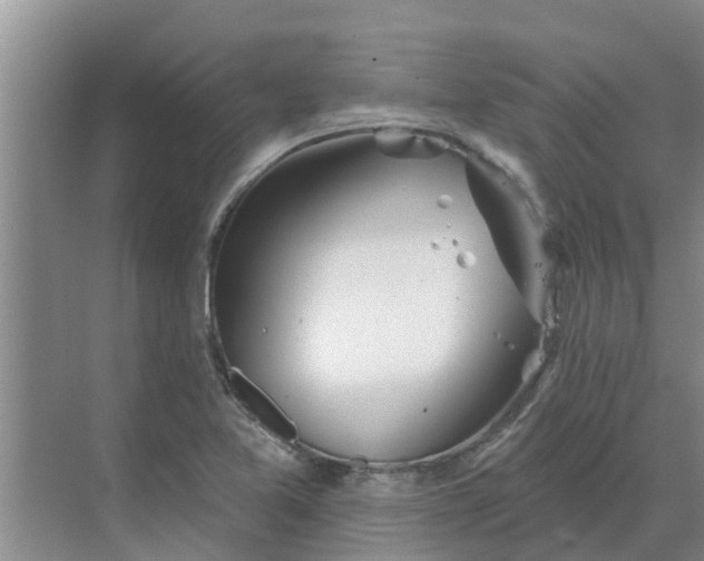 X0000068771365200605121651