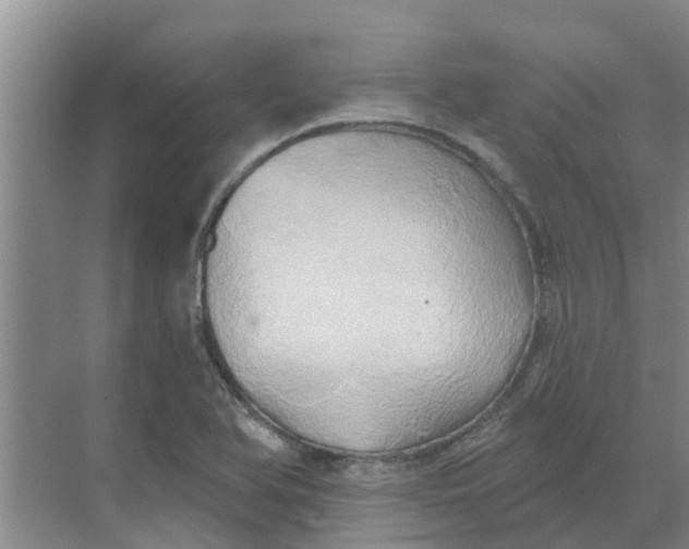 X0000068771366200605121651