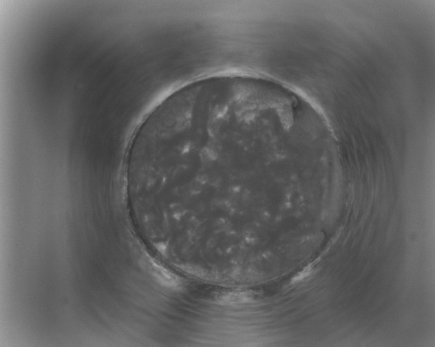 X0000068771367200605121651