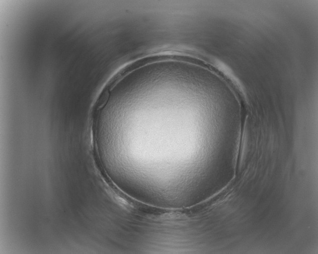 X0000068771368200605121651