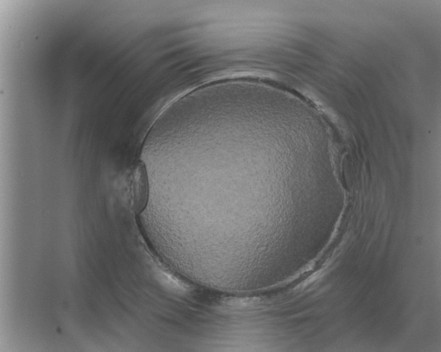 X0000068771369200605121651