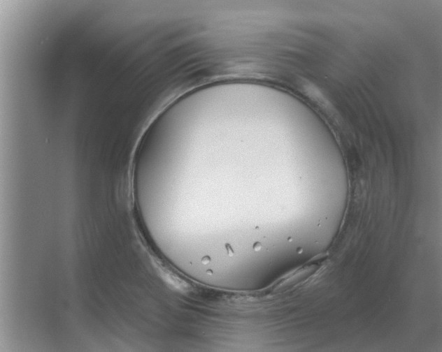 X0000068771370200605121651