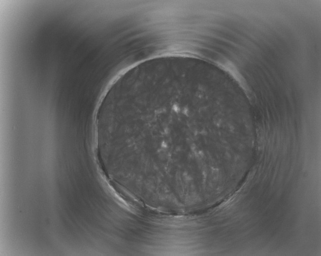 X0000068771371200605121651