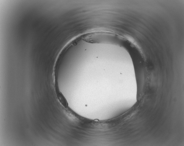 X0000068771372200605121650