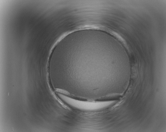 X0000068771373200605121650