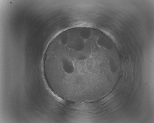 X0000068771375200605121650