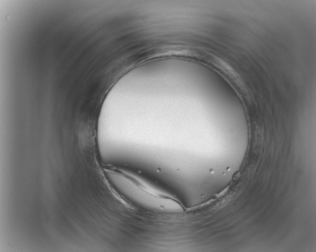 X0000068771377200605121650