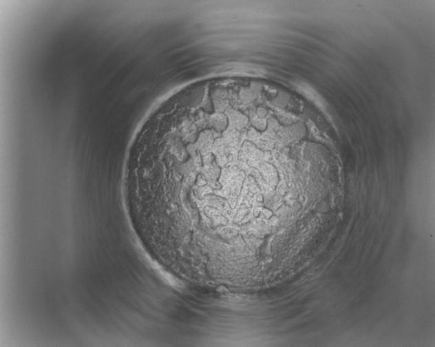 X0000068771379200605121650