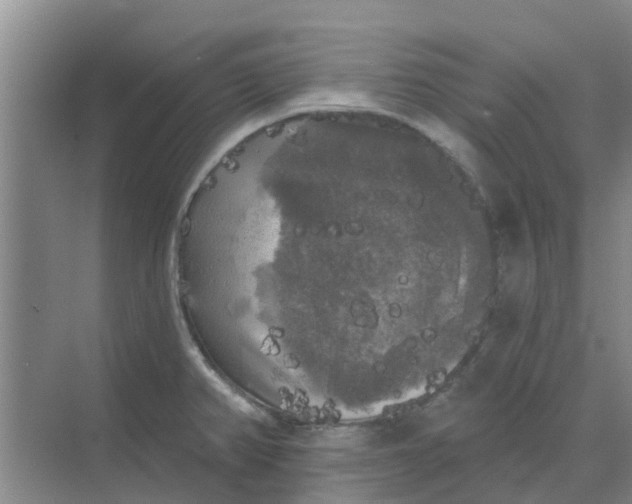 X0000068771382200605121650