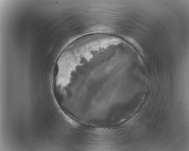 X0000068771383200605121650