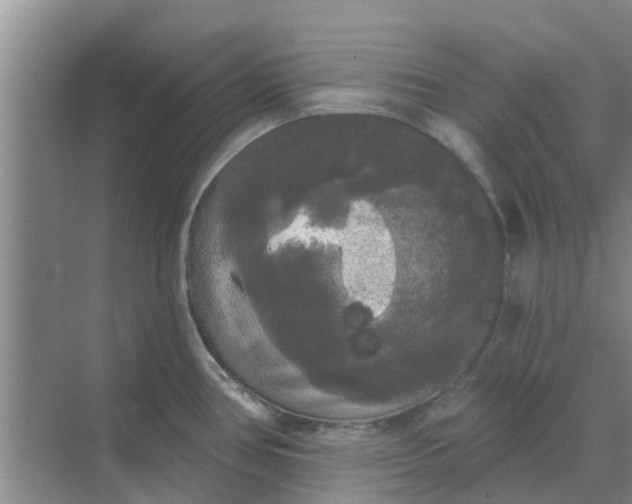 X0000068771386200605121650