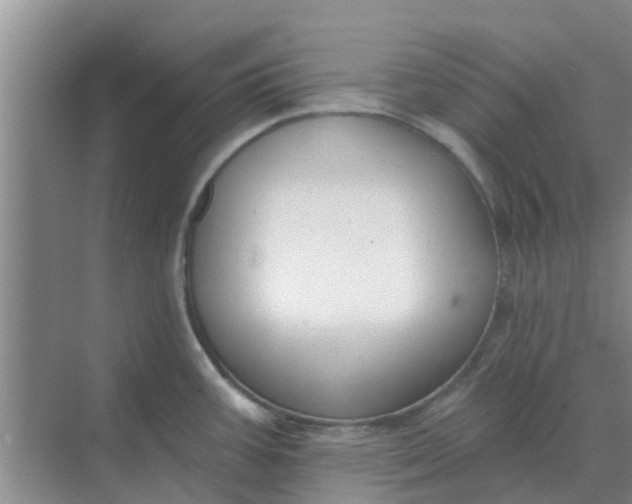 X0000068771387200605121650