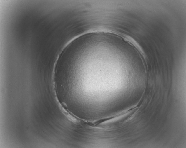 X0000068771388200605121650