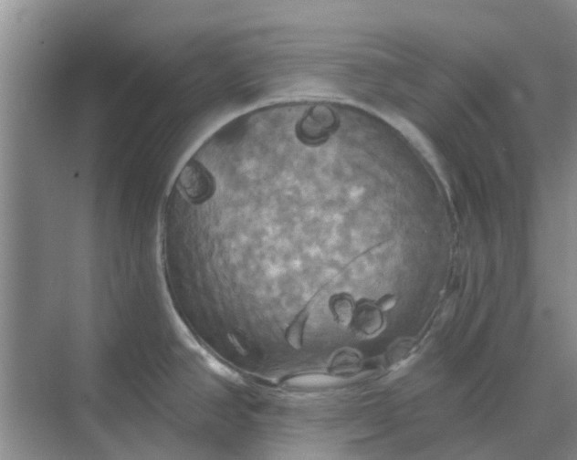 X0000068771390200605121650