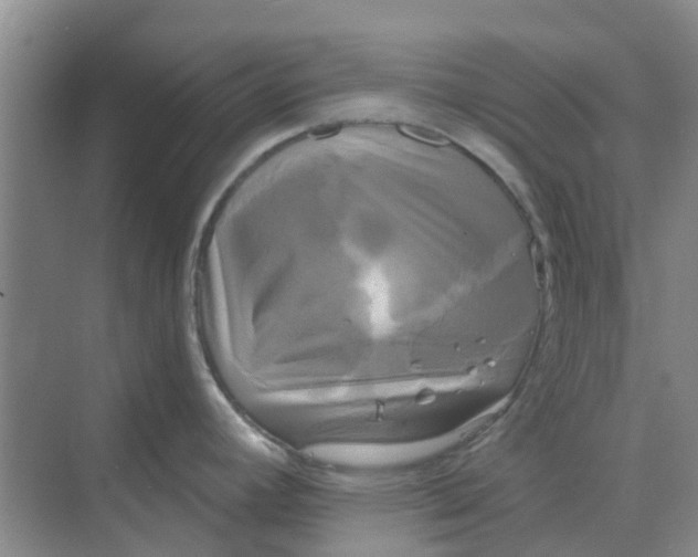 X0000068771392200605121650