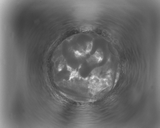 X0000068771393200605121649