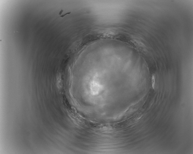 X0000068771395200605121649