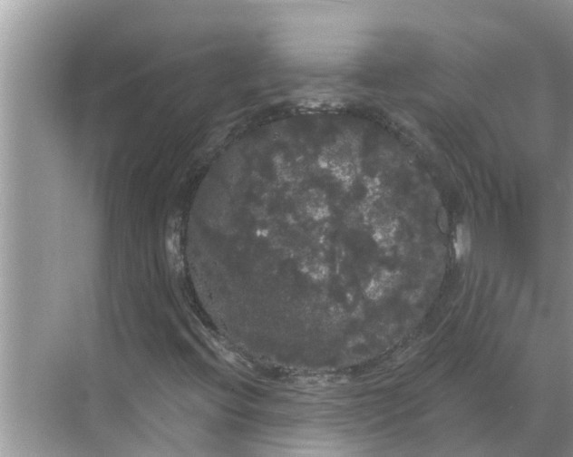 X0000068771396200605121649