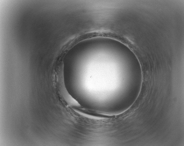 X0000068771398200605121649