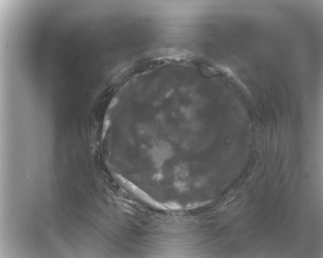 X0000068771399200605121649