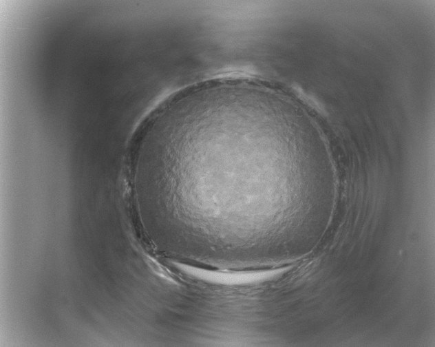 X0000068771400200605121649