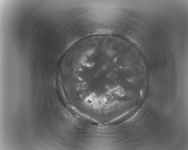 X0000068771401200605121649