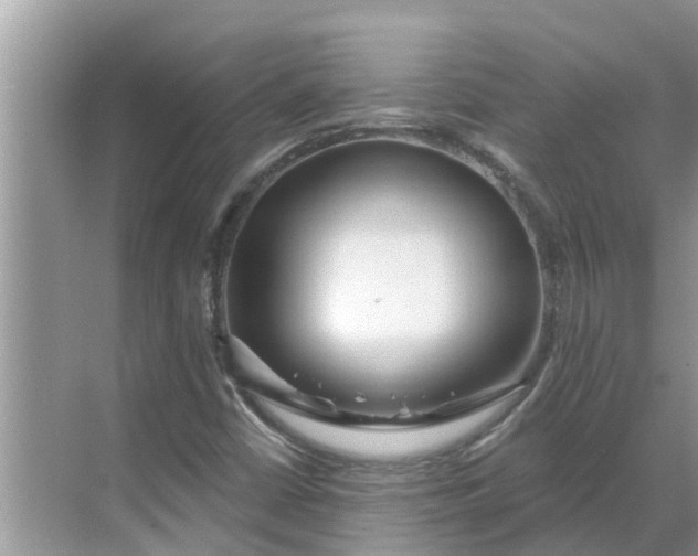 X0000068771402200605121649