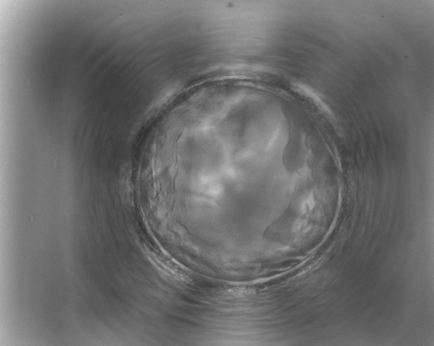 X0000068771403200605121650