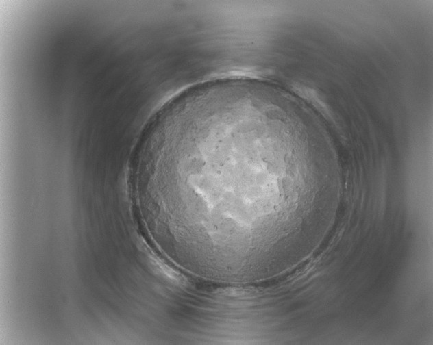 X0000068771404200605121650