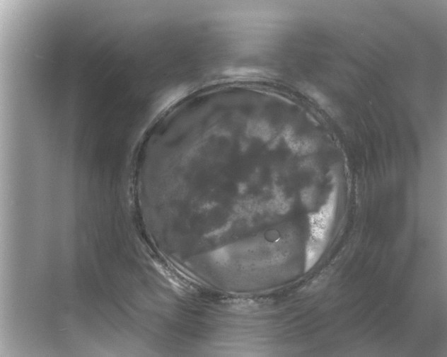 X0000068771405200605121650