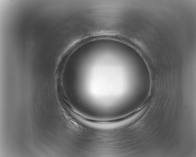 X0000068771406200605121650